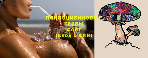 винт Ачинск