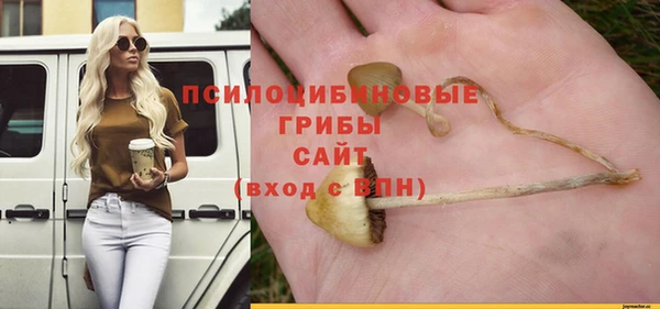 винт Ачинск