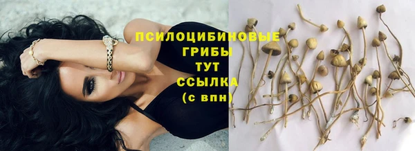 прущие крисы Бердск