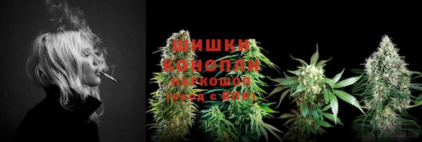 винт Ачинск