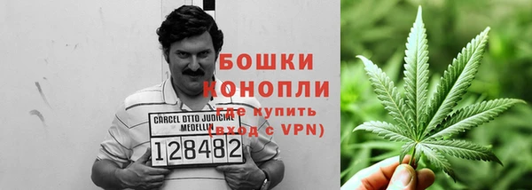 сатива Артём