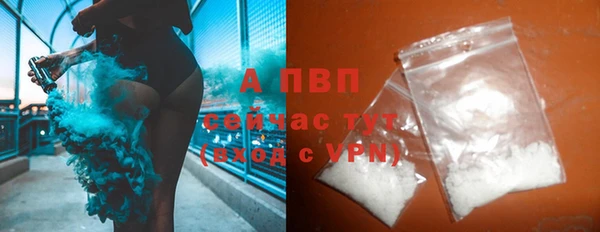 прущие крисы Бердск