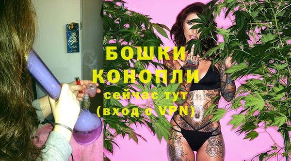 прущие крисы Бердск