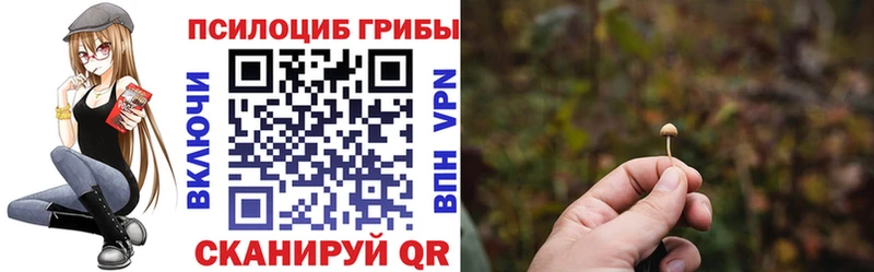 мориарти официальный сайт  Ивангород  Псилоцибиновые грибы MAGIC MUSHROOMS 